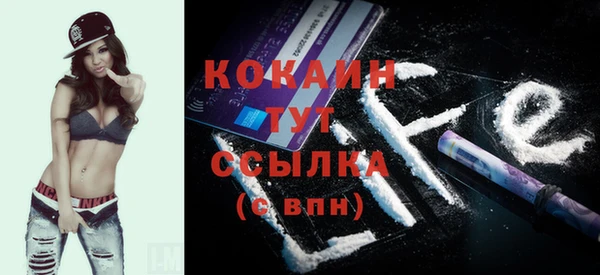прущий лед Пестово