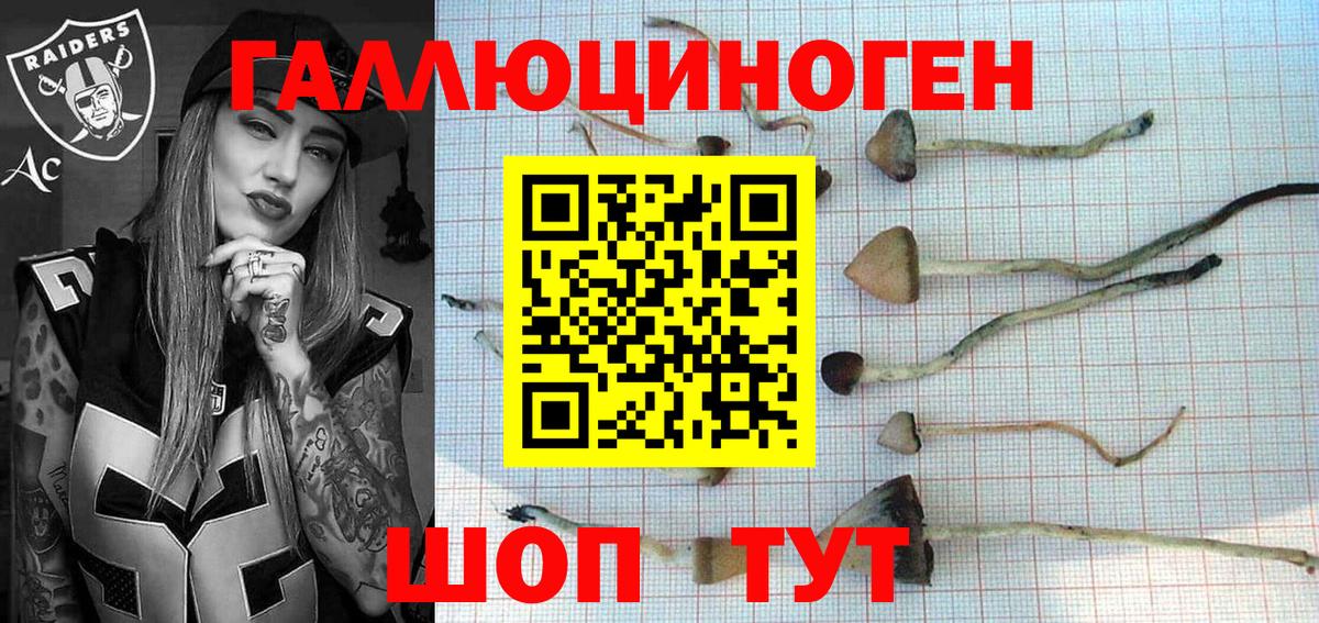 Галлюциногенные грибы Psilocybe  Вход с VPN  Богородицк 