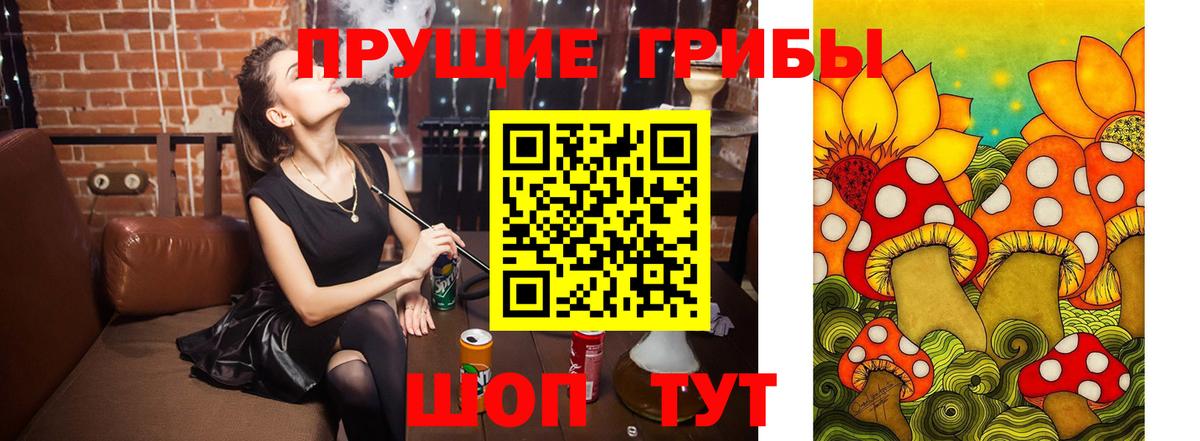 Псилоцибиновые грибы Psilocybe Богородицк