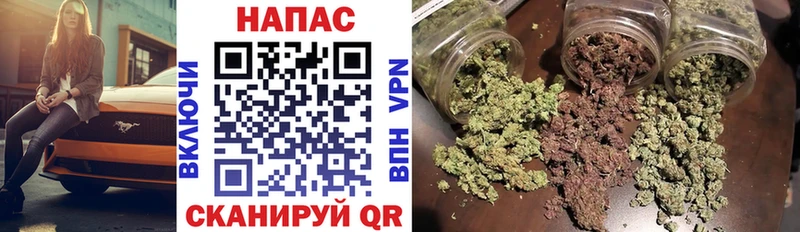 Марихуана сатива  закладка  mega маркетплейс  Богородицк 